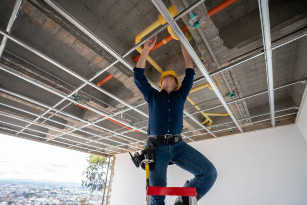 Best Emergency Plumbing Repair  in Roland, IA