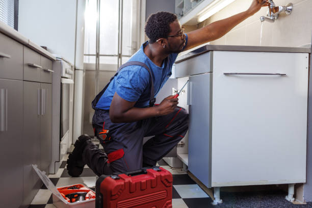 Best Commercial Plumbing Services  in Roland, IA